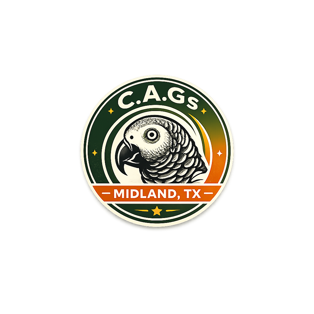 C.A.Gs — Congo African Greys, Midland TX