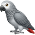 Timneh African Grey