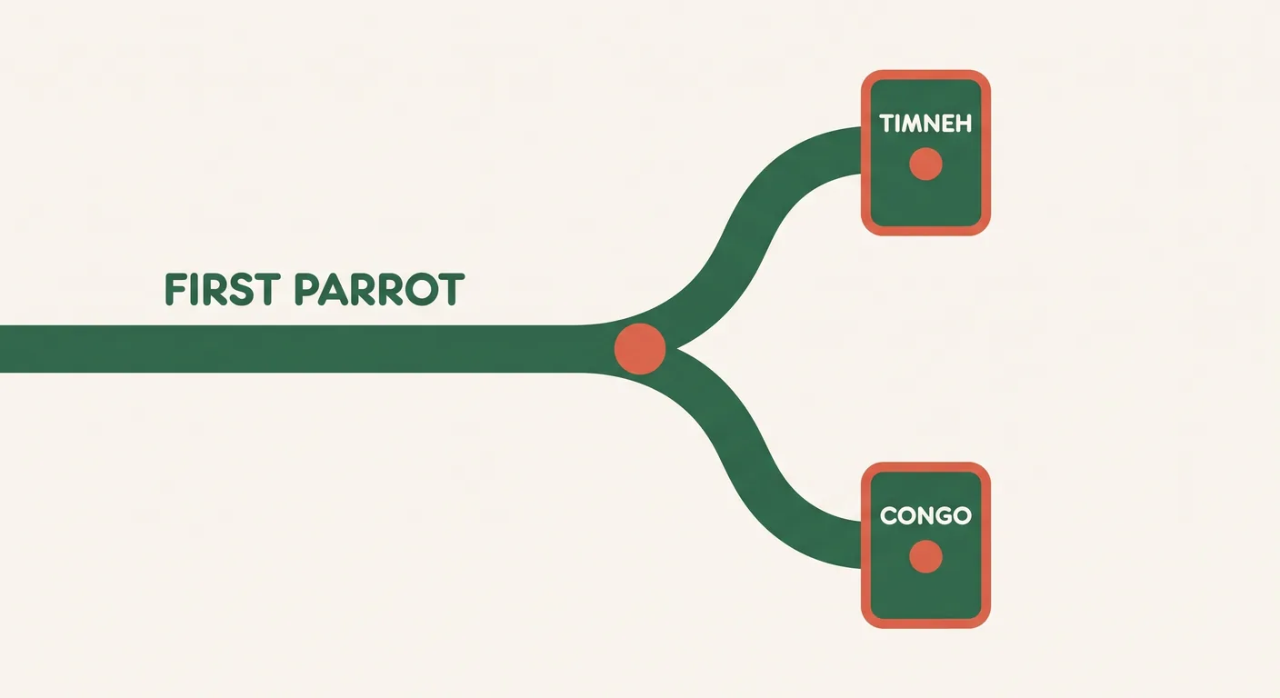 Where a first-time parrot owner lands between the two Greys