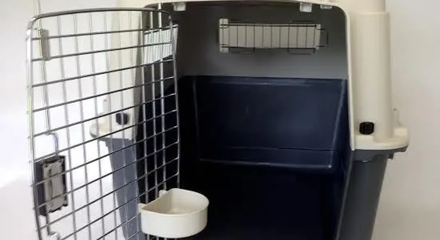 A ventilated IATA live-animal crate prepared for a Congo African Grey at the C.A.Gs aviary