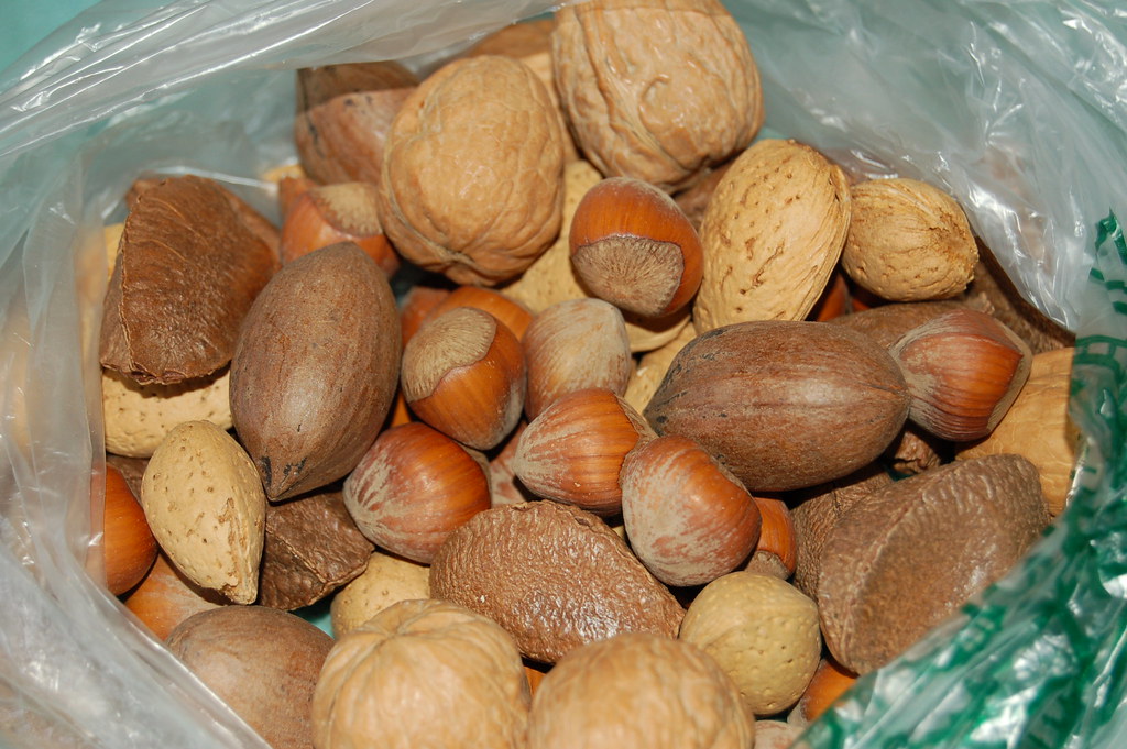 Mixed nuts and seeds — best food for African Grey parrots