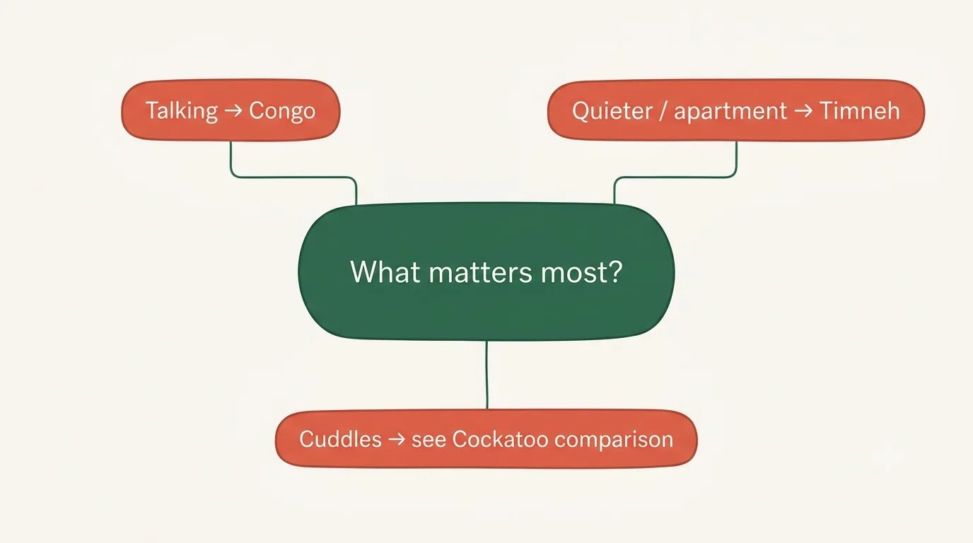 Which African Grey comparison decision flow routing talking, quiet and cuddle priorities to the right guide